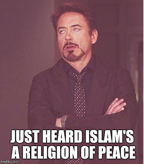 Face You Make Robert Downey Jr | JUST HEARD ISLAM'S A RELIGION OF PEACE | image tagged in memes,face you make robert downey jr | made w/ Imgflip meme maker