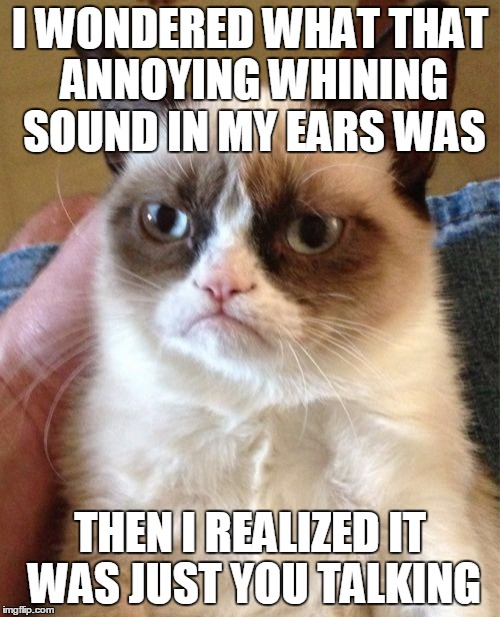 Blah blah blah, blah blah blah blah blah blah :) | I WONDERED WHAT THAT ANNOYING WHINING SOUND IN MY EARS WAS THEN I REALIZED IT WAS JUST YOU TALKING | image tagged in memes,grumpy cat,annoying sound,ears,talking | made w/ Imgflip meme maker
