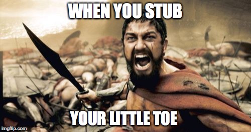Sparta Leonidas | WHEN YOU STUB YOUR LITTLE TOE | image tagged in memes,sparta leonidas | made w/ Imgflip meme maker