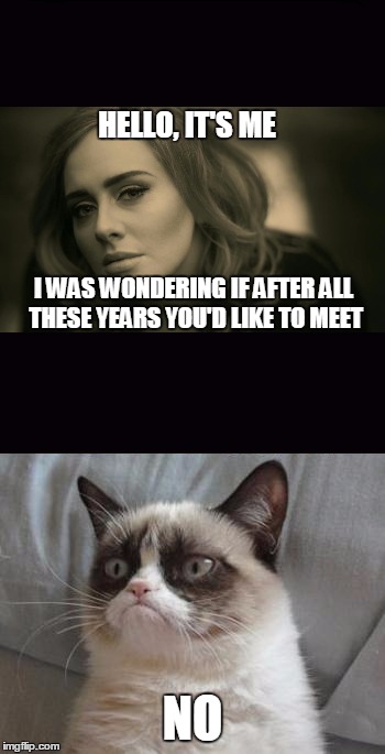 Bye bye Adele | HELLO, IT'S ME NO I WAS WONDERING IF AFTER ALL THESE YEARS YOU'D LIKE TO MEET | image tagged in memes,funny,grumpy cat,adele,hello song lyrics,goodbye | made w/ Imgflip meme maker