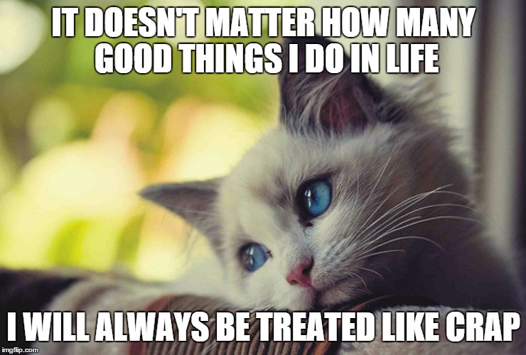 Sad cat | IT DOESN'T MATTER HOW MANY GOOD THINGS I DO IN LIFE I WILL ALWAYS BE TREATED LIKE CRAP | image tagged in sad cat | made w/ Imgflip meme maker