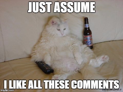 lazycat | JUST ASSUME I LIKE ALL THESE COMMENTS | image tagged in lazycat | made w/ Imgflip meme maker
