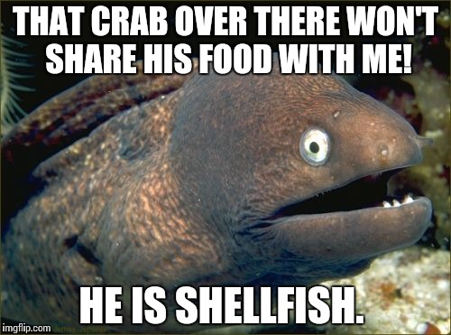 Bad Joke Eel Meme | THAT CRAB OVER THERE WON'T SHARE HIS FOOD WITH ME! HE IS SHELLFISH. | image tagged in memes,bad joke eel | made w/ Imgflip meme maker