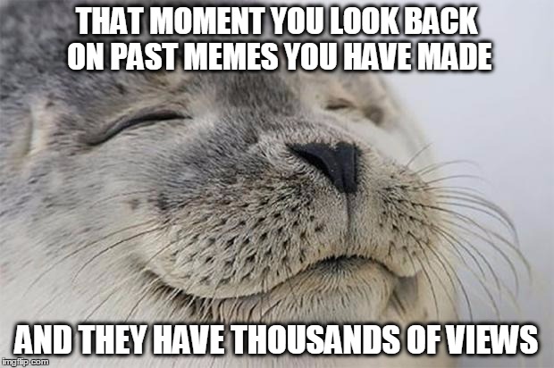 Satisfied Seal | THAT MOMENT YOU LOOK BACK ON PAST MEMES YOU HAVE MADE AND THEY HAVE THOUSANDS OF VIEWS | image tagged in memes,satisfied seal | made w/ Imgflip meme maker