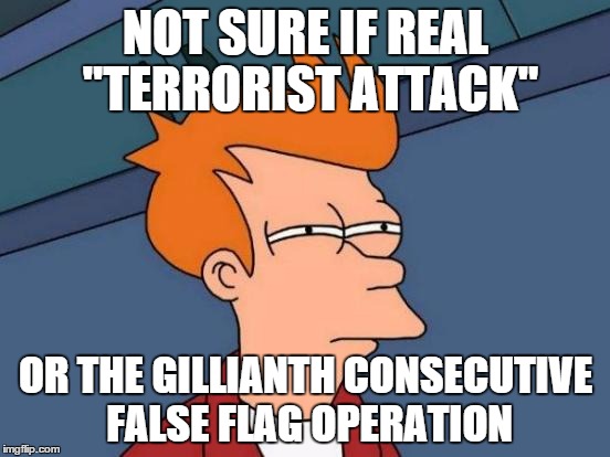 Futurama Fry | NOT SURE IF REAL "TERRORIST ATTACK" OR THE GILLIANTH CONSECUTIVE FALSE FLAG OPERATION | image tagged in memes,futurama fry | made w/ Imgflip meme maker