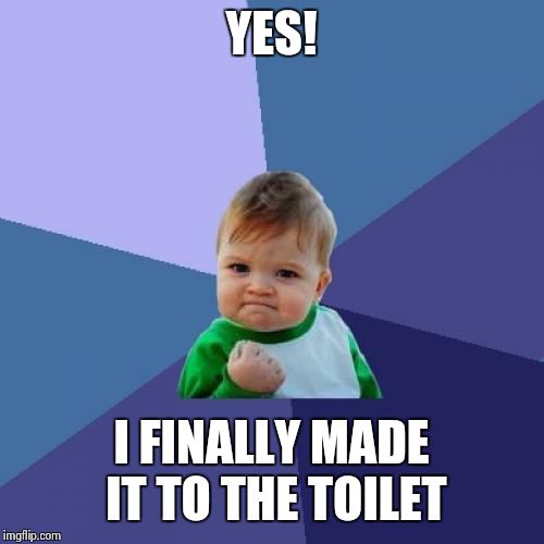 Success Kid | YES! I FINALLY MADE IT TO THE TOILET | image tagged in memes,success kid | made w/ Imgflip meme maker