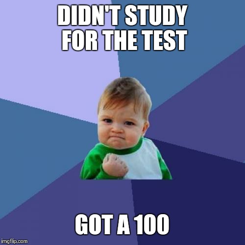 Success Kid | DIDN'T STUDY FOR THE TEST GOT A 100 | image tagged in memes,success kid | made w/ Imgflip meme maker