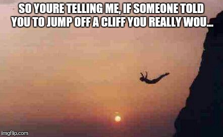 Beast | SO YOURE TELLING ME, IF SOMEONE TOLD YOU TO JUMP OFF A CLIFF YOU REALLY WOU... | image tagged in no fucks given,animal,meme | made w/ Imgflip meme maker