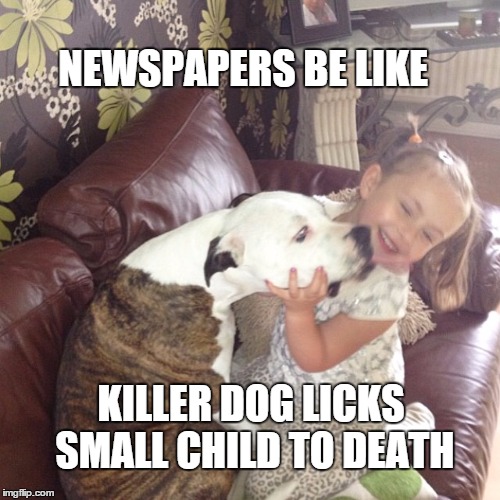 NEWSPAPERS BE LIKE KILLER DOG LICKS SMALL CHILD TO DEATH | image tagged in dogs,kids,funny memes,funny,death | made w/ Imgflip meme maker