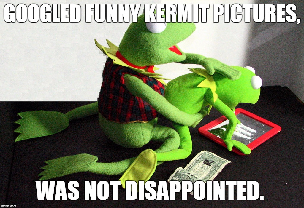 Whatever You Do Not Try This... | GOOGLED FUNNY KERMIT PICTURES, WAS NOT DISAPPOINTED. | image tagged in memes,funny,kermit the frog,kermit | made w/ Imgflip meme maker