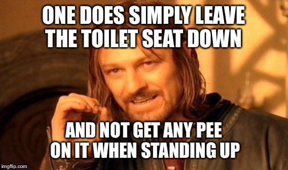 One Does Not Simply Meme | ONE DOES SIMPLY LEAVE THE TOILET SEAT DOWN AND NOT GET ANY PEE ON IT WHEN STANDING UP | image tagged in memes,one does not simply | made w/ Imgflip meme maker