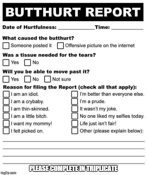Butthurt Report | PLEASE COMPLETE IN TRIPLICATE | image tagged in butthurt report | made w/ Imgflip meme maker