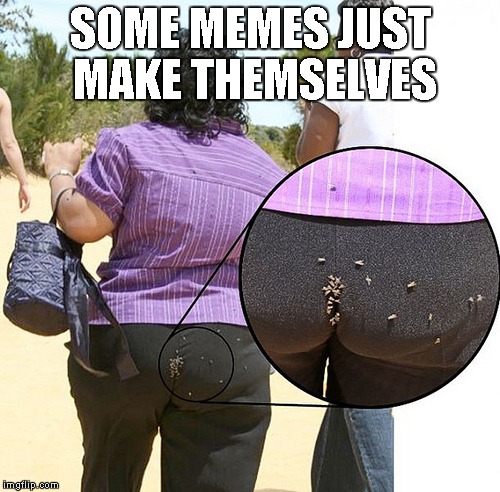 I simply don't have the words for this Man... | SOME MEMES JUST MAKE THEMSELVES | image tagged in women with flies,bad hygiene,flies,stinky butt | made w/ Imgflip meme maker