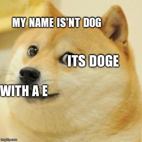 Doge Meme | MY NAME IS'NT DOG ITS DOGE WITH A E | image tagged in memes,doge | made w/ Imgflip meme maker