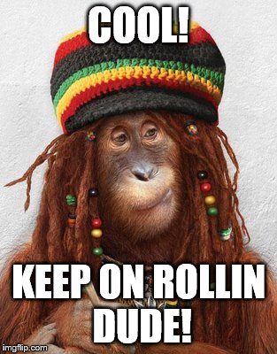COOL! KEEP ON ROLLIN DUDE! | made w/ Imgflip meme maker