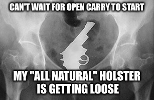 CAN'T WAIT FOR OPEN CARRY TO START MY "ALL NATURAL" HOLSTER IS GETTING LOOSE | image tagged in gun laws | made w/ Imgflip meme maker