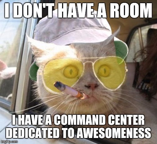 When I need something to say during an awkward pause. | I DON'T HAVE A ROOM I HAVE A COMMAND CENTER DEDICATED TO AWESOMENESS | image tagged in fear and loathing cat | made w/ Imgflip meme maker