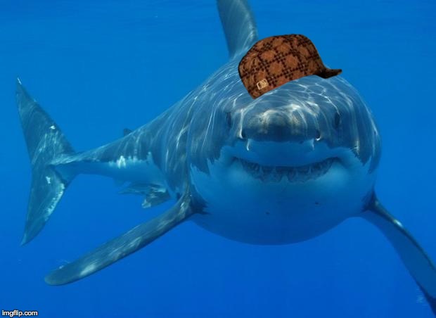 Straight White Shark | image tagged in straight white shark,scumbag | made w/ Imgflip meme maker