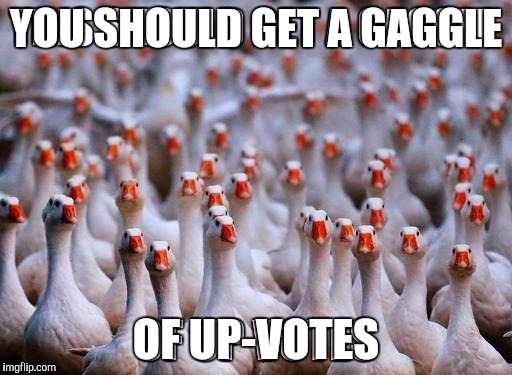YOU SHOULD GET A GAGGLE OF UP-VOTES | made w/ Imgflip meme maker