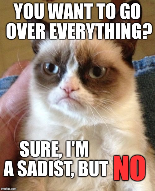 Grumpy Cat Meme | YOU WANT TO GO OVER EVERYTHING? SURE, I'M A SADIST, BUT NO | image tagged in memes,grumpy cat | made w/ Imgflip meme maker