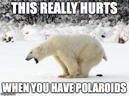 Had to dump this one.  I couldn't hold it very long. | THIS REALLY HURTS WHEN YOU HAVE POLAROIDS | image tagged in polar bear shits in the snow | made w/ Imgflip meme maker