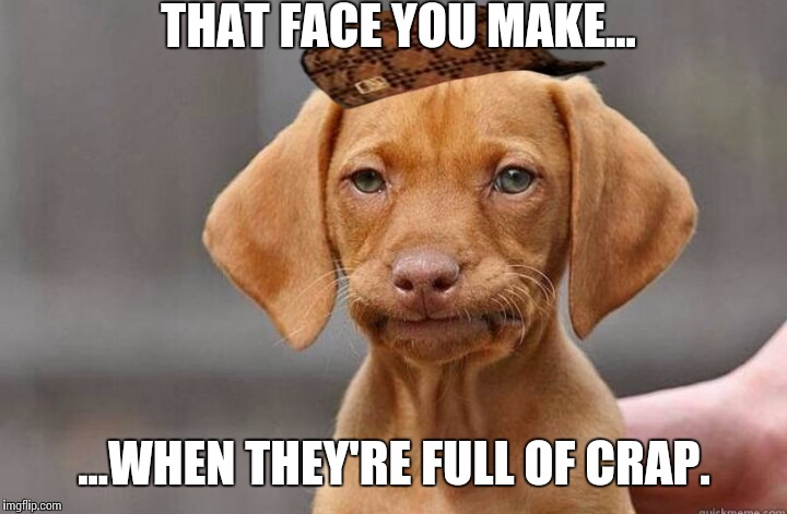 Culpable canine | THAT FACE YOU MAKE... ...WHEN THEY'RE FULL OF CRAP. | image tagged in culpable canine,scumbag | made w/ Imgflip meme maker