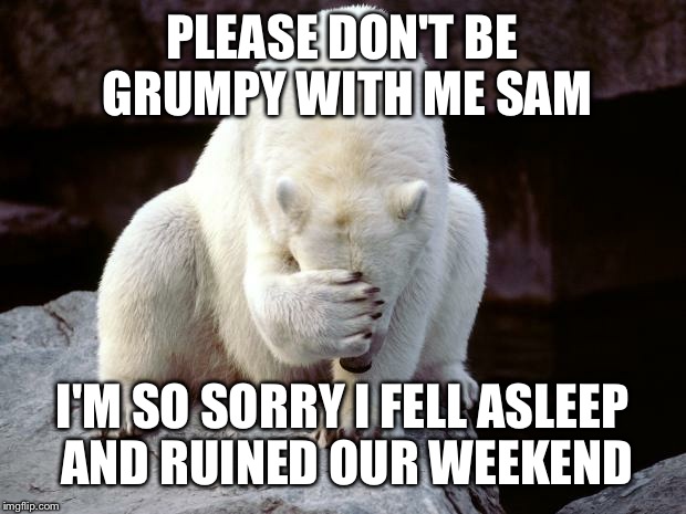 sad polar bear | PLEASE DON'T BE GRUMPY WITH ME SAM I'M SO SORRY I FELL ASLEEP AND RUINED OUR WEEKEND | image tagged in sad polar bear | made w/ Imgflip meme maker