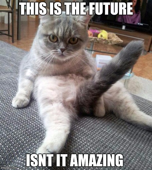 Sexy Cat | THIS IS THE FUTURE ISNT IT AMAZING | image tagged in memes,sexy cat | made w/ Imgflip meme maker