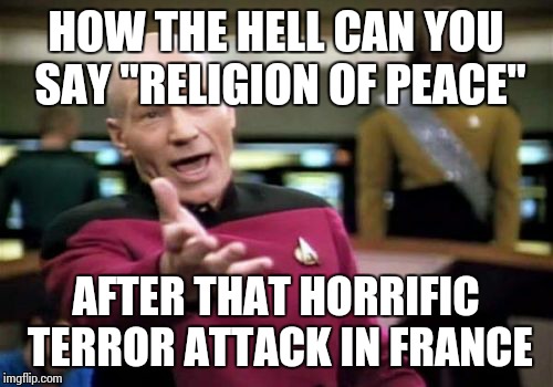 Picard Wtf Meme | HOW THE HELL CAN YOU SAY "RELIGION OF PEACE" AFTER THAT HORRIFIC TERROR ATTACK IN FRANCE | image tagged in memes,picard wtf | made w/ Imgflip meme maker