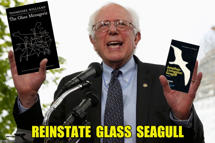 REINSTATE  GLASS  SEAGULL | image tagged in bernie glass seagull | made w/ Imgflip meme maker