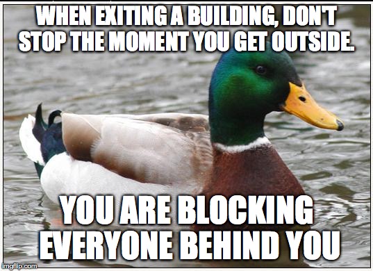 Actual Advice Mallard | WHEN EXITING A BUILDING, DON'T STOP THE MOMENT YOU GET OUTSIDE. YOU ARE BLOCKING EVERYONE BEHIND YOU | image tagged in memes,actual advice mallard | made w/ Imgflip meme maker