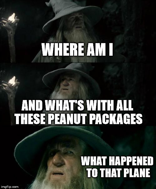 Confused Gandalf | WHERE AM I AND WHAT'S WITH ALL THESE PEANUT PACKAGES WHAT HAPPENED TO THAT PLANE | image tagged in memes,confused gandalf | made w/ Imgflip meme maker