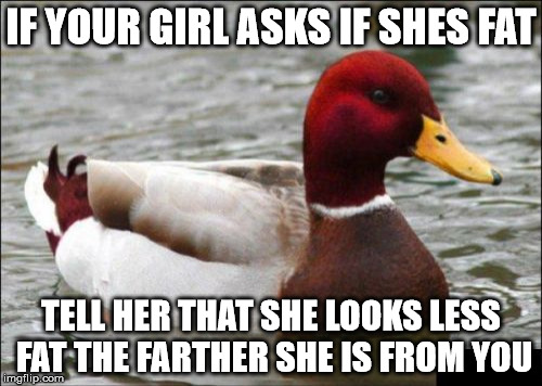 Malicious Advice Mallard Meme | IF YOUR GIRL ASKS IF SHES FAT TELL HER THAT SHE LOOKS LESS FAT THE FARTHER SHE IS FROM YOU | image tagged in memes,malicious advice mallard | made w/ Imgflip meme maker