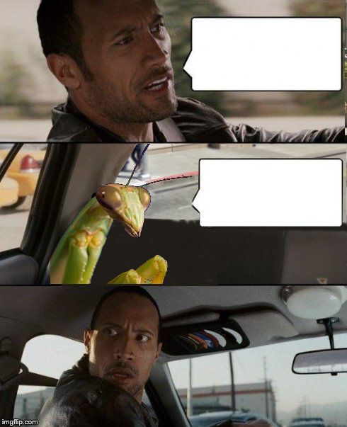 The Rock driving Green Mantis Blank Meme Template