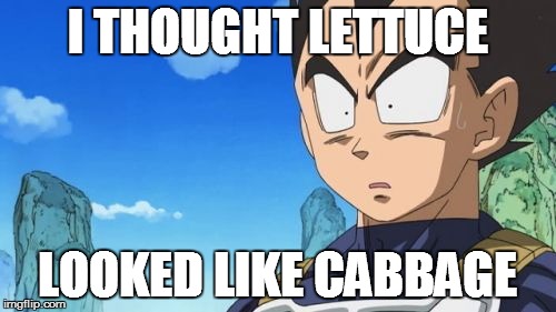 Surprized Vegeta Meme | I THOUGHT LETTUCE LOOKED LIKE CABBAGE | image tagged in memes,surprized vegeta | made w/ Imgflip meme maker
