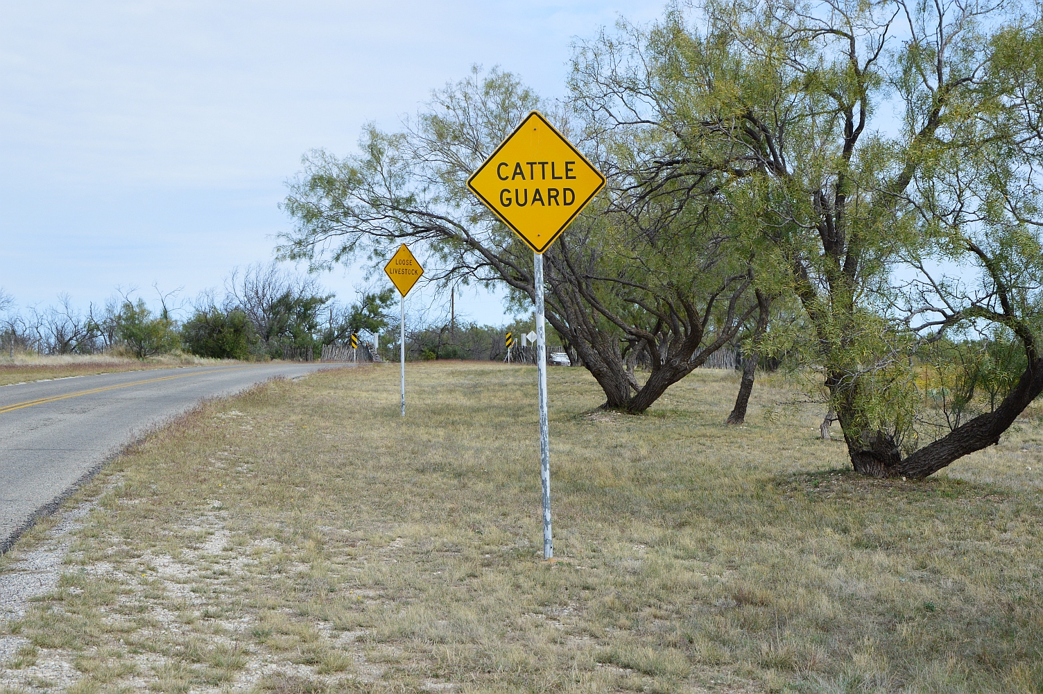 High Quality Cattle Guard Blank Meme Template
