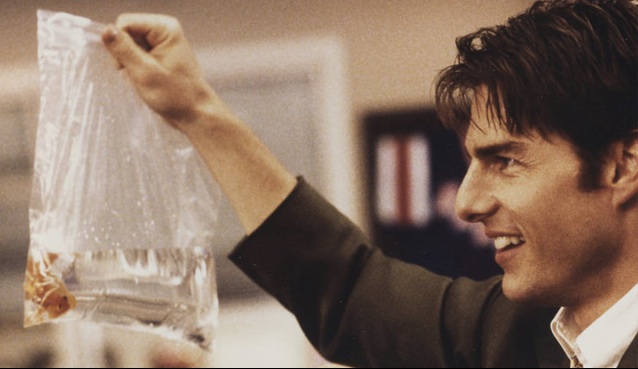 High Quality Jerry Maguire + Goldfish Blank Meme Template