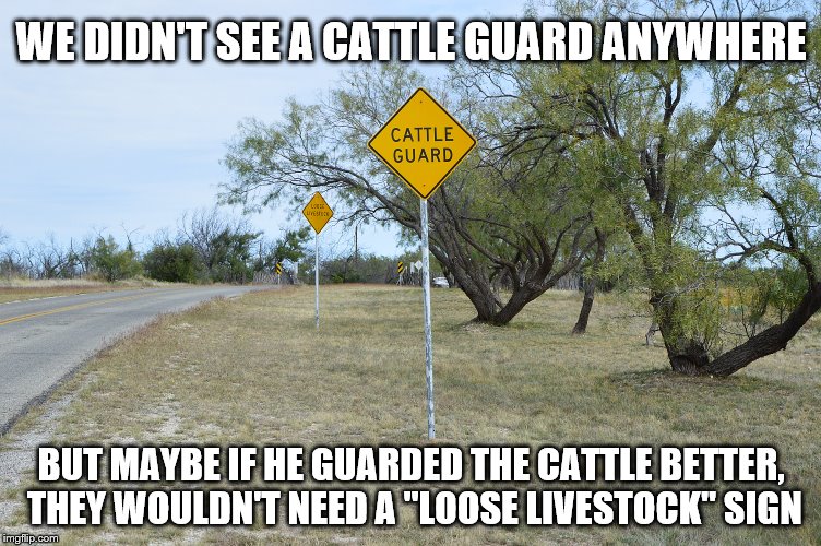 Cattle Guard | WE DIDN'T SEE A CATTLE GUARD ANYWHERE BUT MAYBE IF HE GUARDED THE CATTLE BETTER, THEY WOULDN'T NEED A "LOOSE LIVESTOCK" SIGN | image tagged in cattle guard | made w/ Imgflip meme maker