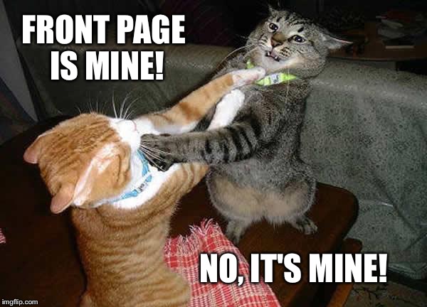 Raydog vs Socrates | FRONT PAGE IS MINE! NO, IT'S MINE! | image tagged in two cats fighting for real,memes,front page | made w/ Imgflip meme maker