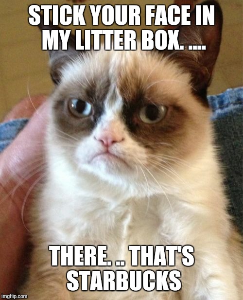 Grumpy Cat Meme | STICK YOUR FACE IN MY LITTER BOX. .... THERE. .. THAT'S STARBUCKS | image tagged in memes,grumpy cat | made w/ Imgflip meme maker