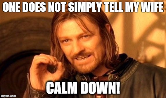 One Does Not Simply Meme | ONE DOES NOT SIMPLY TELL MY WIFE CALM DOWN! | image tagged in memes,one does not simply | made w/ Imgflip meme maker