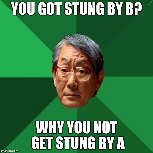 High Expectations Asian Father | YOU GOT STUNG BY B? WHY YOU NOT GET STUNG BY A | image tagged in memes,high expectations asian father | made w/ Imgflip meme maker