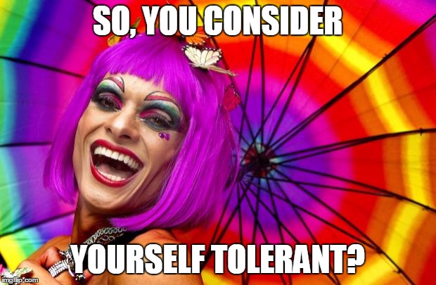 gay pride | SO, YOU CONSIDER YOURSELF TOLERANT? | image tagged in gay pride | made w/ Imgflip meme maker
