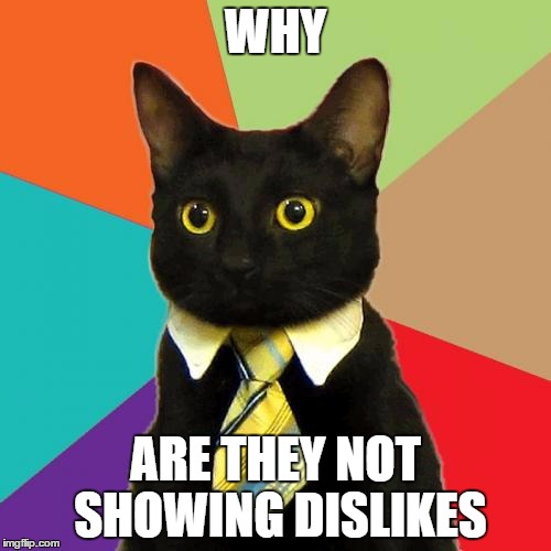 Business Cat | WHY ARE THEY NOT SHOWING DISLIKES | image tagged in memes,business cat | made w/ Imgflip meme maker