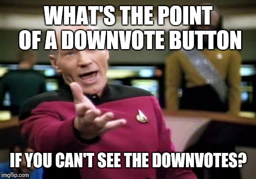 Picard Wtf | WHAT'S THE POINT OF A DOWNVOTE BUTTON IF YOU CAN'T SEE THE DOWNVOTES? | image tagged in memes,picard wtf | made w/ Imgflip meme maker