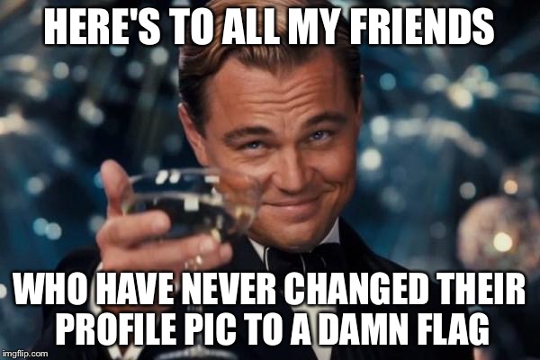 Leonardo Dicaprio Cheers Meme | HERE'S TO ALL MY FRIENDS WHO HAVE NEVER CHANGED THEIR PROFILE PIC TO A DAMN FLAG | image tagged in memes,leonardo dicaprio cheers | made w/ Imgflip meme maker