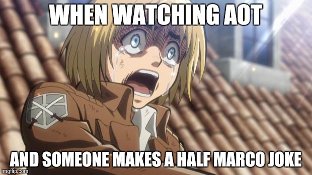 attack on titan | WHEN WATCHING AOT AND SOMEONE MAKES A HALF MARCO JOKE | image tagged in attack on titan | made w/ Imgflip meme maker