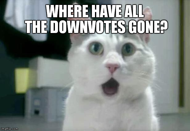 OMG Cat Meme | WHERE HAVE ALL THE DOWNVOTES GONE? | image tagged in memes,omg cat | made w/ Imgflip meme maker