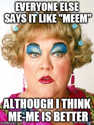 EVERYONE ELSE SAYS IT LIKE "MEEM" ALTHOUGH I THINK ME-ME IS BETTER | made w/ Imgflip meme maker