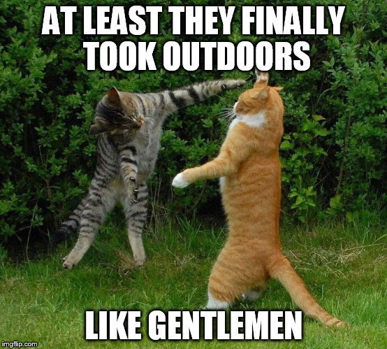 AT LEAST THEY FINALLY TOOK OUTDOORS LIKE GENTLEMEN | made w/ Imgflip meme maker